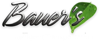 Bauer's